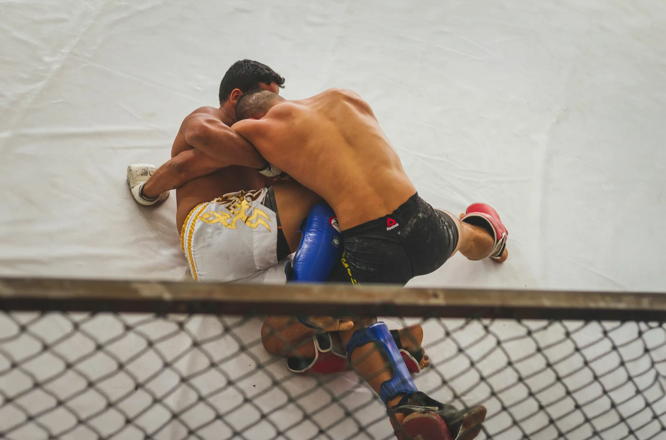 Origin and Evolution of Mixed Martial Arts (MMA)